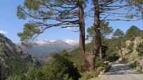 L'île de Beauté - Circuit VTC, Vélo tout chemin découverte