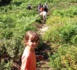 La Corse Nature
