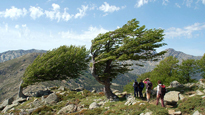 Self guided tours Self guided tours