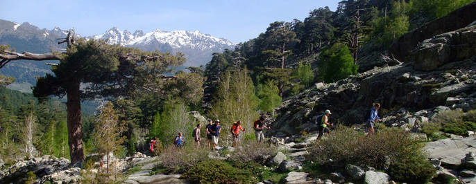 Guided hike Guided hike
