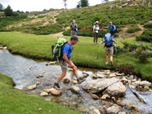Pozzines sur le plateau du Cuscionu Pozzines sur le plateau du Cuscionu