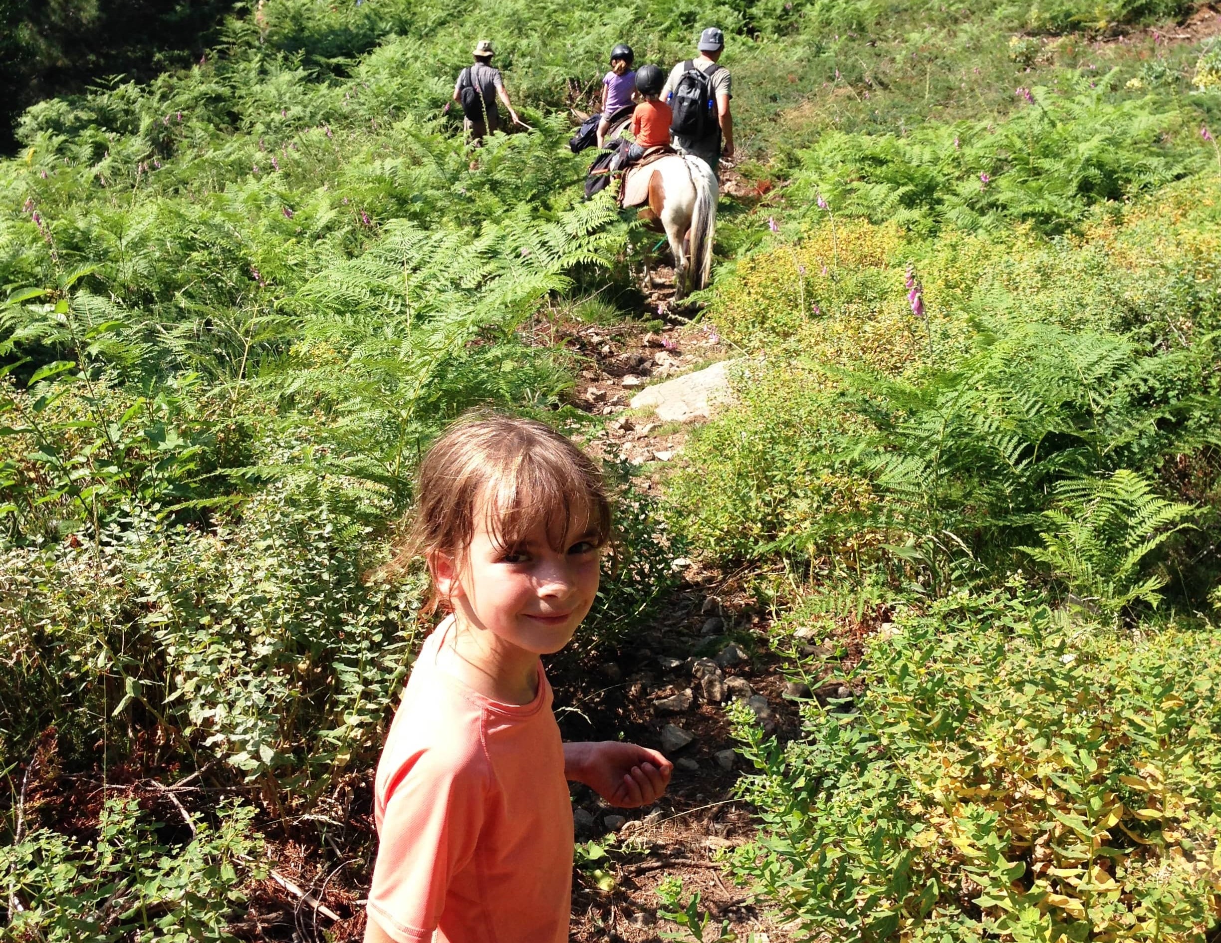 La Corse Nature  La Corse Nature