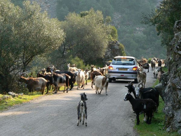 Partir en road trip en Corse