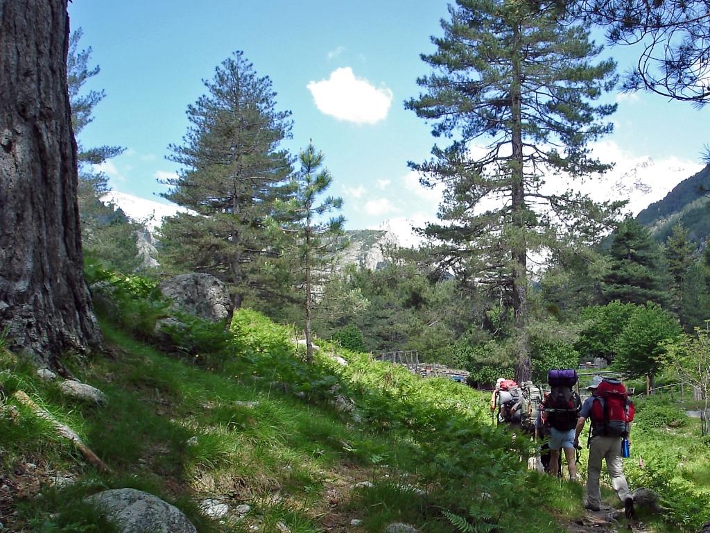 GR nord, vers les bergeries de Tolla