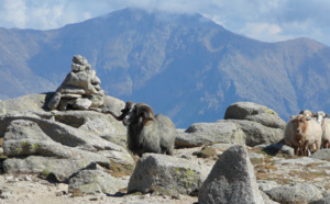 Road trip & rando:  le Gr 20 Nord Road trip & rando:  le Gr 20 Nord