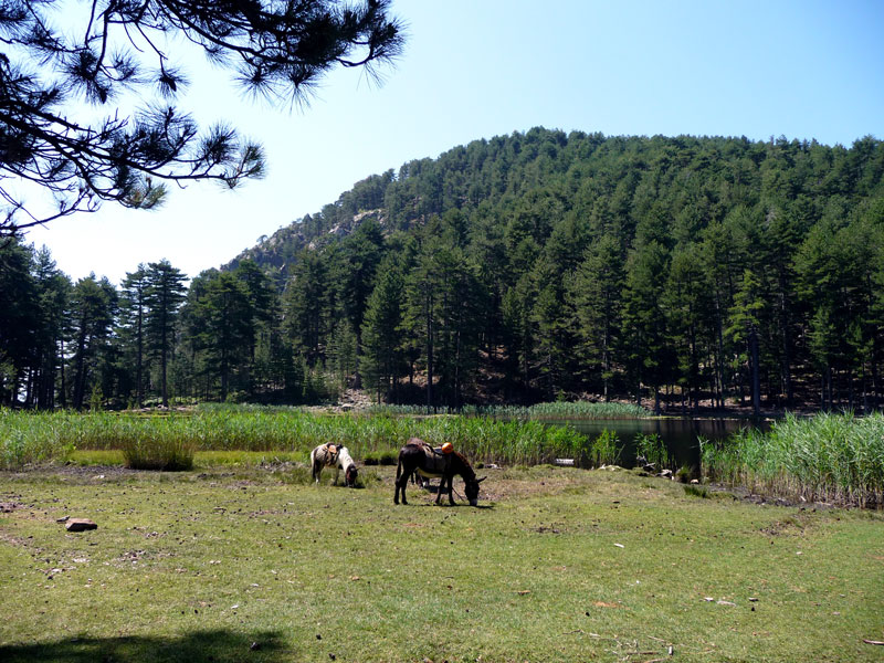 Séjour famille en Corse