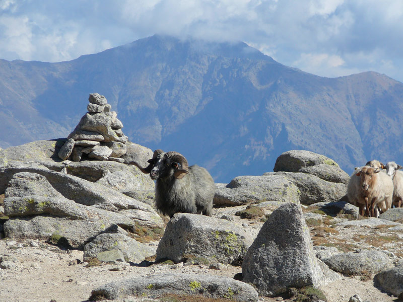GR 20 du monde sur le sommet.