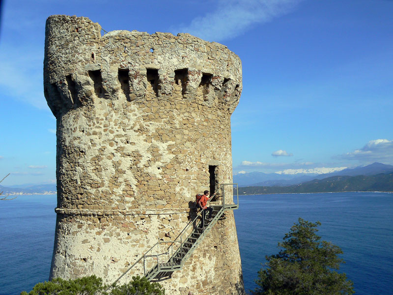 La tour génoise de Capu di Muru.