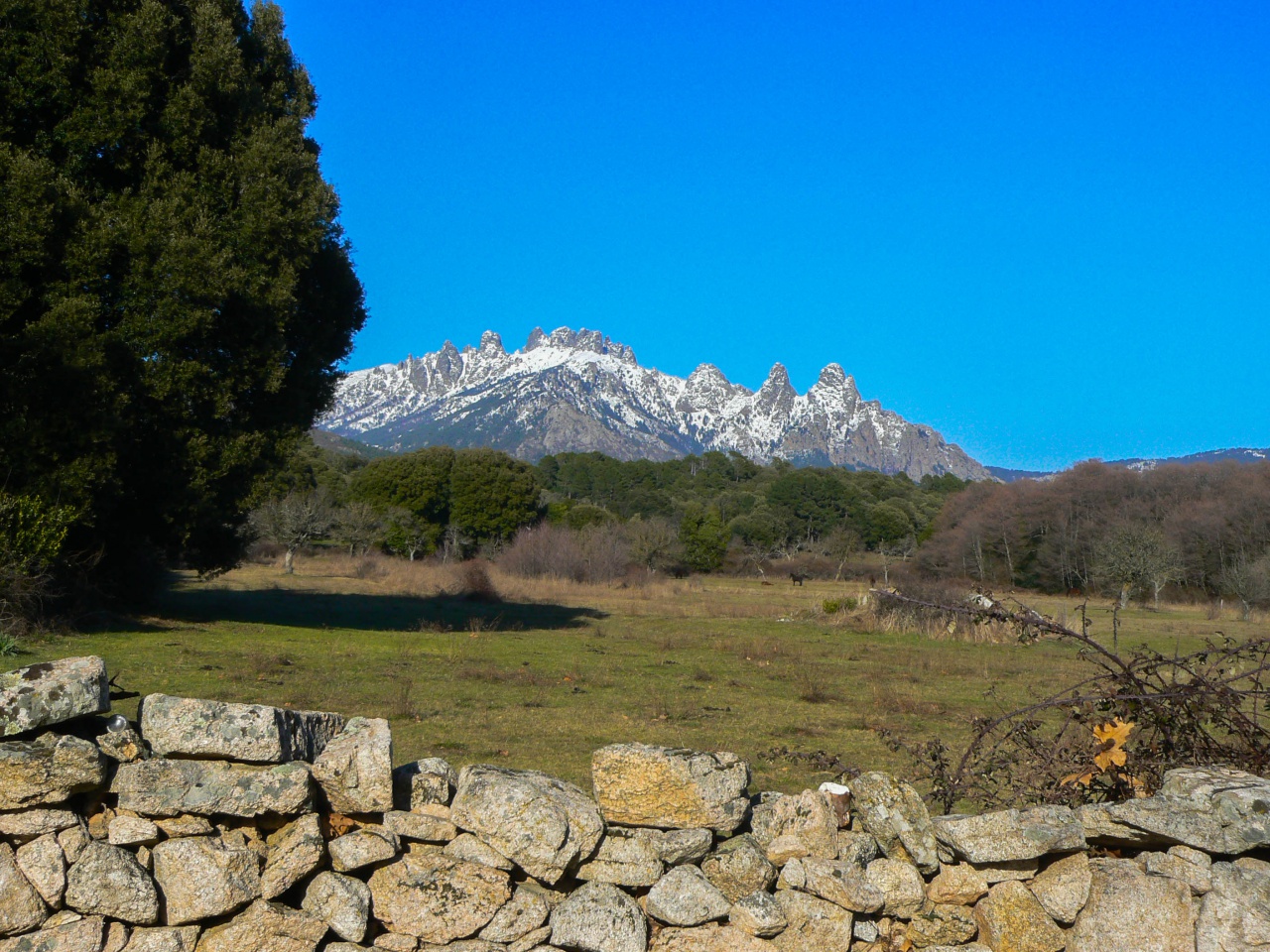 visite autotour Sud